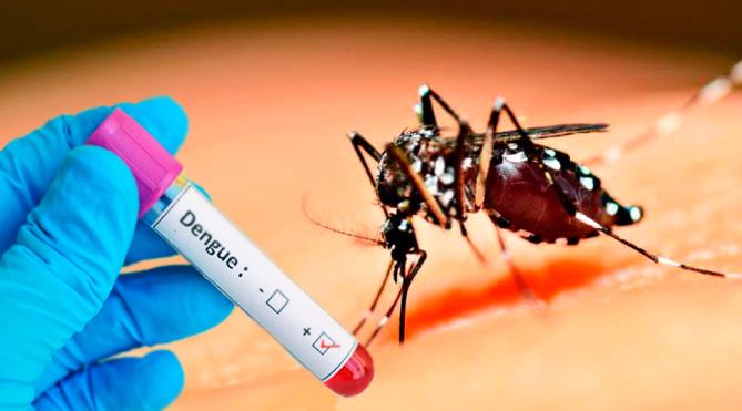 Dengue avança na região; Araruna registra mais de 300 confirmações