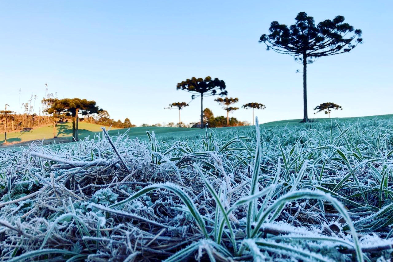 Semana será com frio e geada em Araruna, indica Simepar