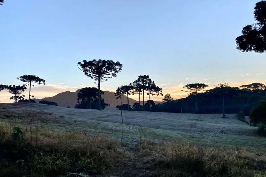 Paraná registra madrugada mais fria do ano; 24 municípios tiveram temperaturas negativas