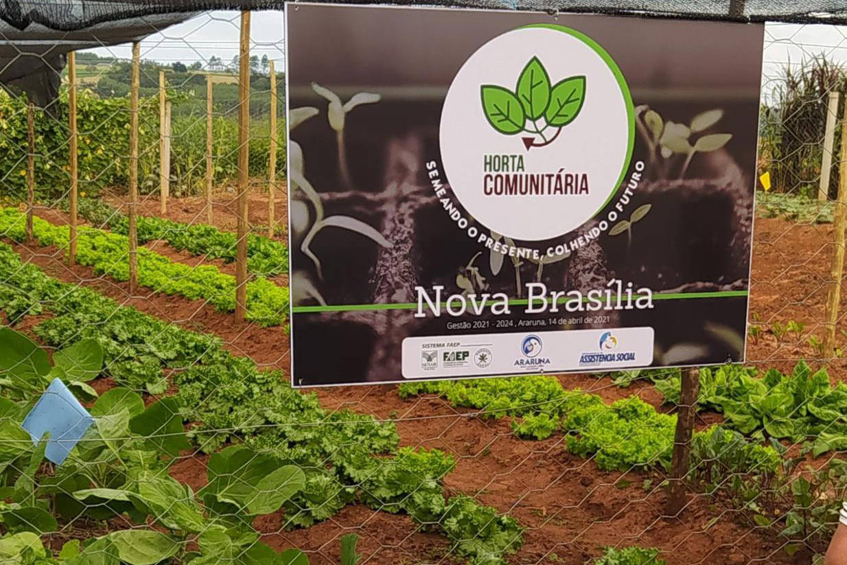 Moradores de Araruna ganham hortas comunitárias com apoio do Estado